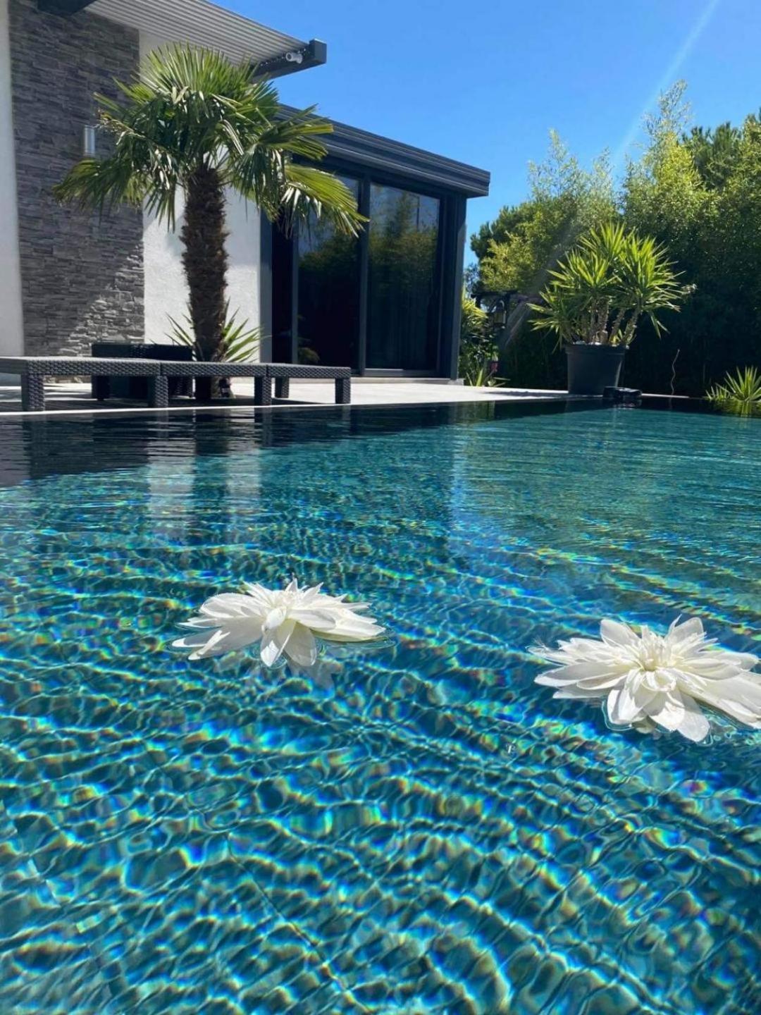 마우세인레알파일즈 Mon Petit Bali B&B 외부 사진
